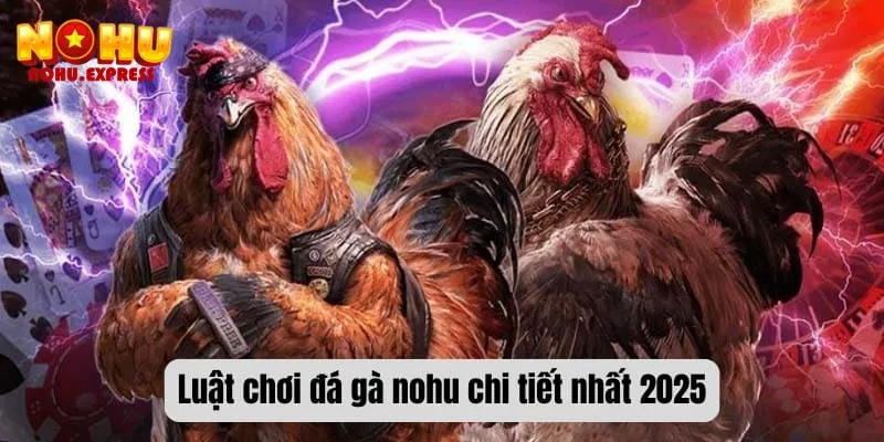 Luật chơi đá gà nohu chi tiết nhất 2025