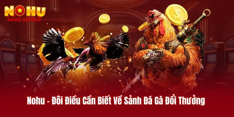 Điểm đặc biệt nhất khi tìm hiểu sảnh nổ hũ đá gà